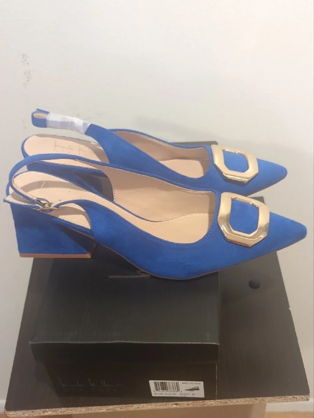 Blue Women's Pointed Slingback with Gold Buckle